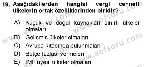 Uluslararası Kamu Maliyesi Dersi 2021 - 2022 Yılı Yaz Okulu Sınav Soruları 19. Soru