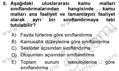 Uluslararası Kamu Maliyesi Dersi 2021 - 2022 Yılı Yaz Okulu Sınav Soruları 5. Soru