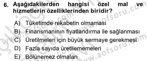 Uluslararası Kamu Maliyesi Dersi 2021 - 2022 Yılı Yaz Okulu Sınav Soruları 6. Soru