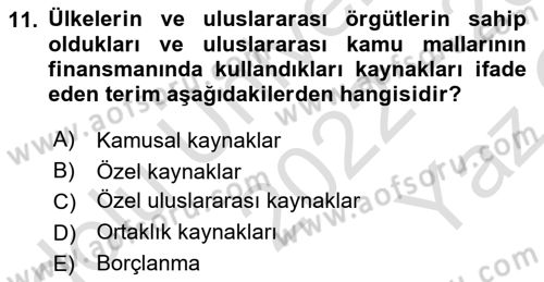 Uluslararası Kamu Maliyesi Dersi 2022 - 2023 Yılı Yaz Okulu Sınav Soruları 11. Soru