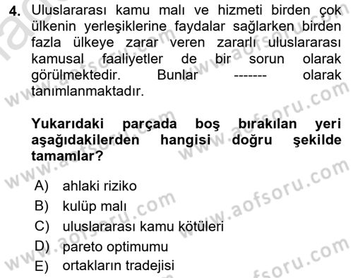 Uluslararası Kamu Maliyesi Dersi 2022 - 2023 Yılı Yaz Okulu Sınav Soruları 4. Soru