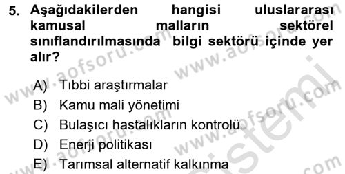 Uluslararası Kamu Maliyesi Dersi 2022 - 2023 Yılı Yaz Okulu Sınav Soruları 5. Soru