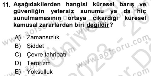 Uluslararası Kamu Maliyesi Dersi 2023 - 2024 Yılı (Vize) Ara Sınav Soruları 11. Soru