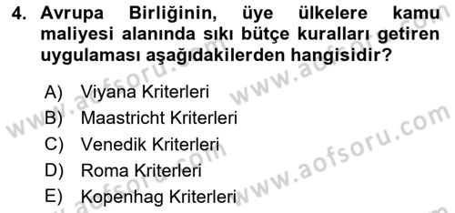 Uluslararası Kamu Maliyesi Dersi 2023 - 2024 Yılı (Vize) Ara Sınav Soruları 4. Soru