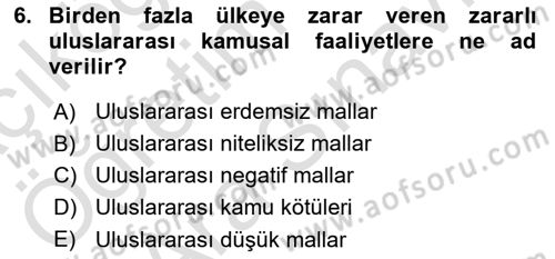 Uluslararası Kamu Maliyesi Dersi 2023 - 2024 Yılı (Vize) Ara Sınavı 6. Soru