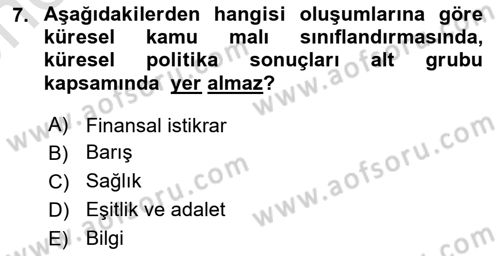 Uluslararası Kamu Maliyesi Dersi 2023 - 2024 Yılı (Vize) Ara Sınav Soruları 7. Soru