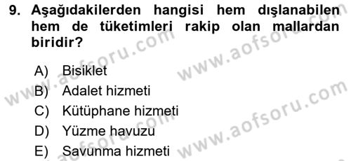 Uluslararası Kamu Maliyesi Dersi 2023 - 2024 Yılı (Vize) Ara Sınav Soruları 9. Soru