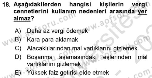 Uluslararası Kamu Maliyesi Dersi 2023 - 2024 Yılı (Final) Dönem Sonu Sınav Soruları 18. Soru