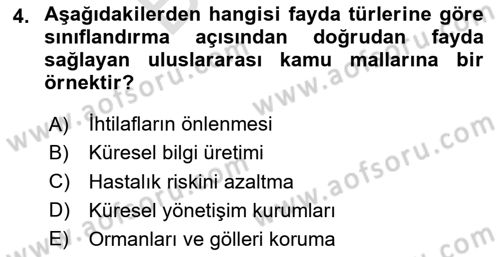 Uluslararası Kamu Maliyesi Dersi 2023 - 2024 Yılı (Final) Dönem Sonu Sınav Soruları 4. Soru
