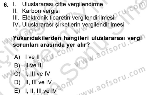 Uluslararası Kamu Maliyesi Dersi 2023 - 2024 Yılı (Final) Dönem Sonu Sınav Soruları 6. Soru