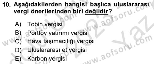 Uluslararası Kamu Maliyesi Dersi 2023 - 2024 Yılı Yaz Okulu Sınav Soruları 10. Soru