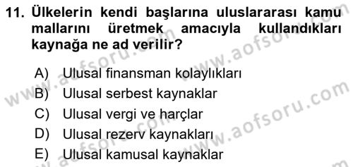 Uluslararası Kamu Maliyesi Dersi 2023 - 2024 Yılı Yaz Okulu Sınav Soruları 11. Soru