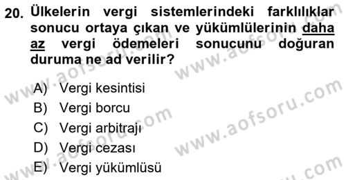 Uluslararası Kamu Maliyesi Dersi 2023 - 2024 Yılı Yaz Okulu Sınav Soruları 20. Soru