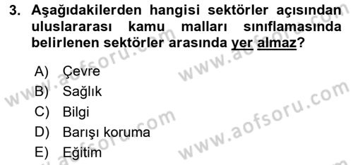 Uluslararası Kamu Maliyesi Dersi 2023 - 2024 Yılı Yaz Okulu Sınav Soruları 3. Soru