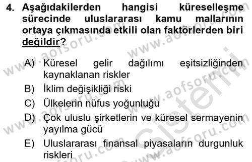 Uluslararası Kamu Maliyesi Dersi 2023 - 2024 Yılı Yaz Okulu Sınav Soruları 4. Soru