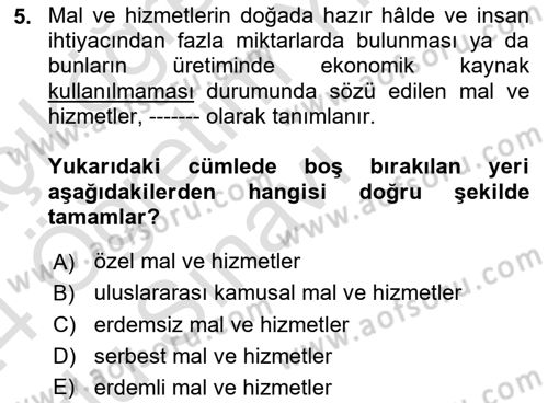 Uluslararası Kamu Maliyesi Dersi 2023 - 2024 Yılı Yaz Okulu Sınav Soruları 5. Soru