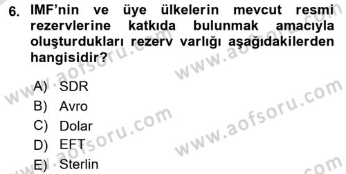 Uluslararası Kamu Maliyesi Dersi 2023 - 2024 Yılı Yaz Okulu Sınav Soruları 6. Soru