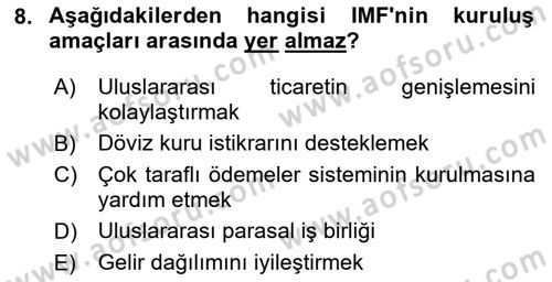 Uluslararası Kamu Maliyesi Dersi 2023 - 2024 Yılı Yaz Okulu Sınav Soruları 8. Soru
