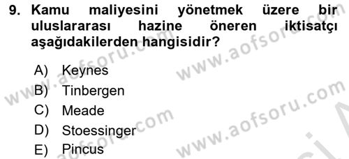 Uluslararası Kamu Maliyesi Dersi 2023 - 2024 Yılı Yaz Okulu Sınav Soruları 9. Soru