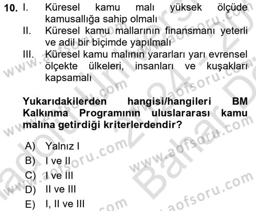 Uluslararası Kamu Maliyesi Dersi 2024 - 2025 Yılı (Vize) Ara Sınav Soruları 10. Soru