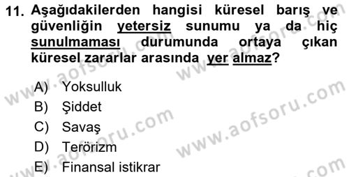Uluslararası Kamu Maliyesi Dersi 2024 - 2025 Yılı (Vize) Ara Sınav Soruları 11. Soru
