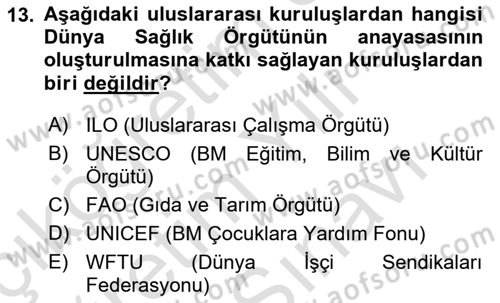 Uluslararası Kamu Maliyesi Dersi 2024 - 2025 Yılı (Vize) Ara Sınav Soruları 13. Soru