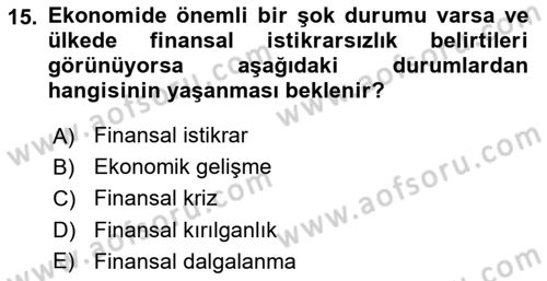 Uluslararası Kamu Maliyesi Dersi 2024 - 2025 Yılı (Vize) Ara Sınav Soruları 15. Soru