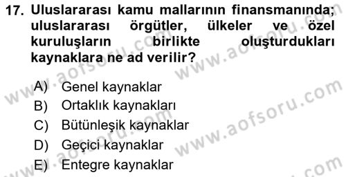 Uluslararası Kamu Maliyesi Dersi 2024 - 2025 Yılı (Vize) Ara Sınav Soruları 17. Soru