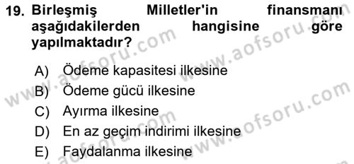 Uluslararası Kamu Maliyesi Dersi 2024 - 2025 Yılı (Vize) Ara Sınav Soruları 19. Soru