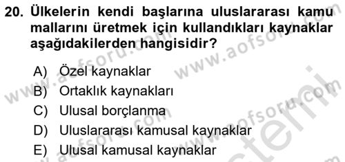Uluslararası Kamu Maliyesi Dersi 2024 - 2025 Yılı (Vize) Ara Sınav Soruları 20. Soru