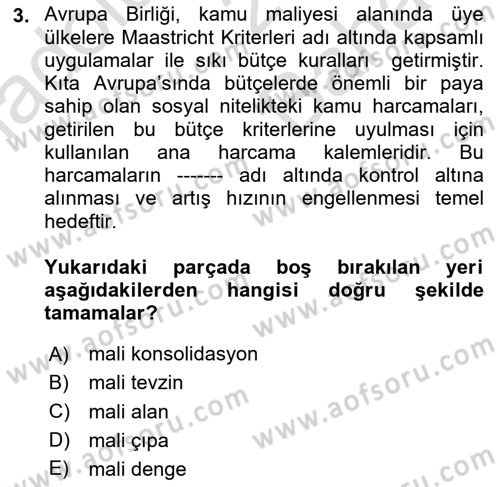 Uluslararası Kamu Maliyesi Dersi 2024 - 2025 Yılı (Vize) Ara Sınav Soruları 3. Soru