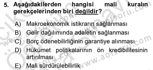 Uluslararası Kamu Maliyesi Dersi 2024 - 2025 Yılı (Vize) Ara Sınav Soruları 5. Soru