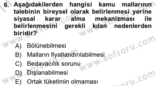 Uluslararası Kamu Maliyesi Dersi 2024 - 2025 Yılı (Vize) Ara Sınav Soruları 6. Soru