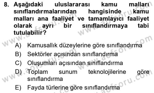 Uluslararası Kamu Maliyesi Dersi 2024 - 2025 Yılı (Vize) Ara Sınav Soruları 8. Soru