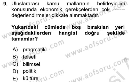 Uluslararası Kamu Maliyesi Dersi 2024 - 2025 Yılı (Vize) Ara Sınav Soruları 9. Soru