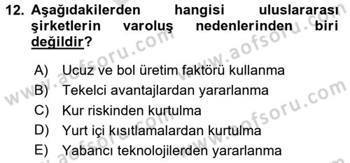 Uluslararası Kamu Maliyesi Dersi 2024 - 2025 Yılı (Final) Dönem Sonu Sınav Soruları 12. Soru