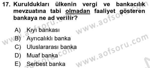 Uluslararası Kamu Maliyesi Dersi 2024 - 2025 Yılı (Final) Dönem Sonu Sınav Soruları 17. Soru