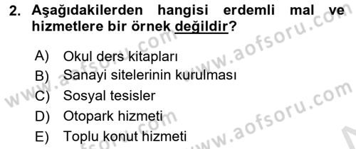 Uluslararası Kamu Maliyesi Dersi 2024 - 2025 Yılı (Final) Dönem Sonu Sınav Soruları 2. Soru