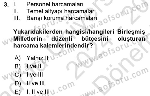 Uluslararası Kamu Maliyesi Dersi 2024 - 2025 Yılı (Final) Dönem Sonu Sınav Soruları 3. Soru