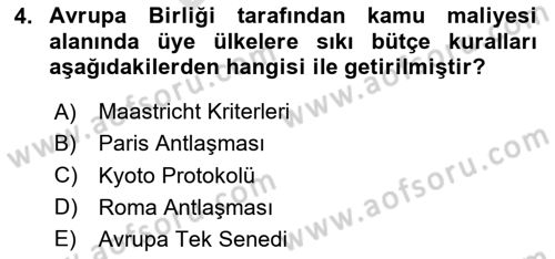 Uluslararası Kamu Maliyesi Dersi 2024 - 2025 Yılı (Final) Dönem Sonu Sınav Soruları 4. Soru