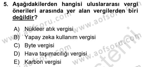 Uluslararası Kamu Maliyesi Dersi 2024 - 2025 Yılı (Final) Dönem Sonu Sınav Soruları 5. Soru