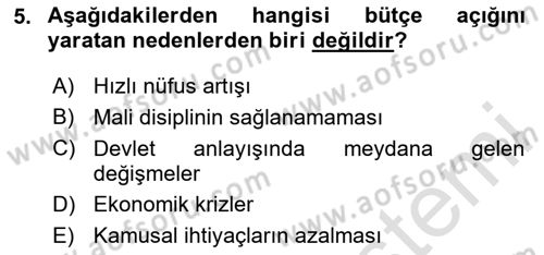 Devlet Borçları Dersi 2023 - 2024 Yılı Yaz Okulu Sınav Soruları 5. Soru