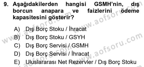 Devlet Borçları Dersi 2023 - 2024 Yılı Yaz Okulu Sınav Soruları 9. Soru