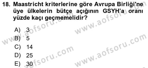 Devlet Borçları Dersi 2024 - 2025 Yılı (Final) Dönem Sonu Sınav Soruları 18. Soru