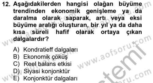 Maliye Politikası Dersi 2012 - 2013 Yılı (Vize) Ara Sınav Soruları 12. Soru