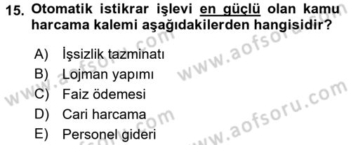 Maliye Politikası Dersi 2015 - 2016 Yılı (Vize) Ara Sınav Soruları 15. Soru