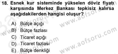 Maliye Politikası Dersi 2015 - 2016 Yılı (Vize) Ara Sınav Soruları 18. Soru