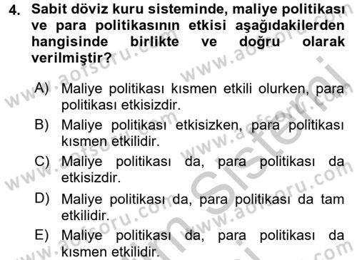Maliye Politikası Dersi 2016 - 2017 Yılı (Vize) Ara Sınav Soruları 4. Soru