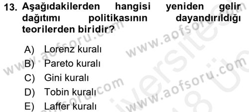 Maliye Politikası Dersi 2017 - 2018 Yılı 3 Ders Sınav Soruları 13. Soru