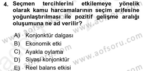 Maliye Politikası Dersi 2017 - 2018 Yılı 3 Ders Sınav Soruları 4. Soru
